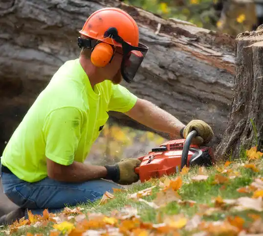 tree services Leland